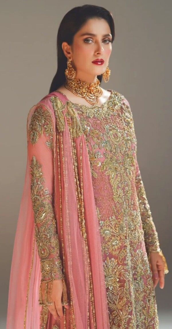 Luxurious Formal Dresses with Exquisite Hand Zari Work😍 - Image 3