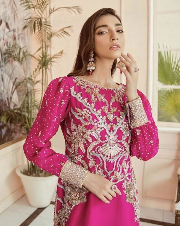 Exquisite Woman Formal & Party Dresses Online with Handcrafted Zari Work 👗 - Image 2