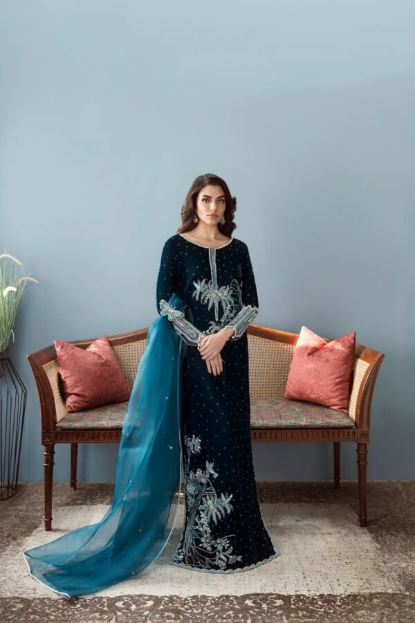 Timeless Formal Dress with Exquisite Hand Zari Work😍