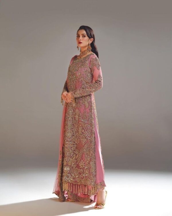 Luxurious Formal Dresses with Exquisite Hand Zari Work😍 - Image 4