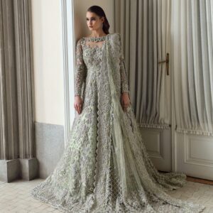 Luxury Hand-Embroidered Bridal/Party Wear Dress of Clothing Brand