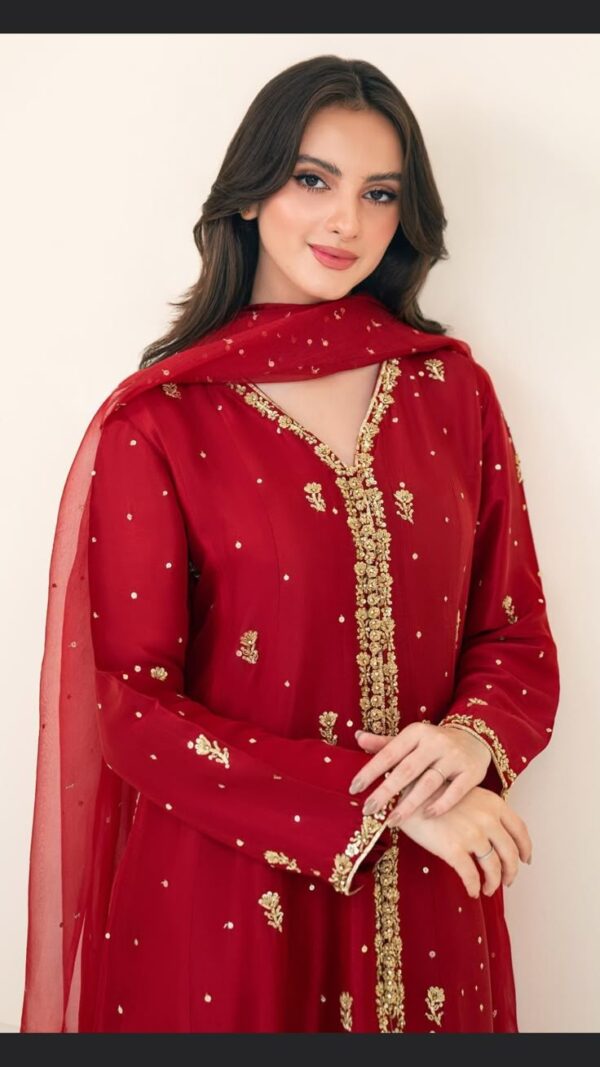 Radiant Red Woman Luxury Dress with Exquisite Zari Handwork😍 - Image 2