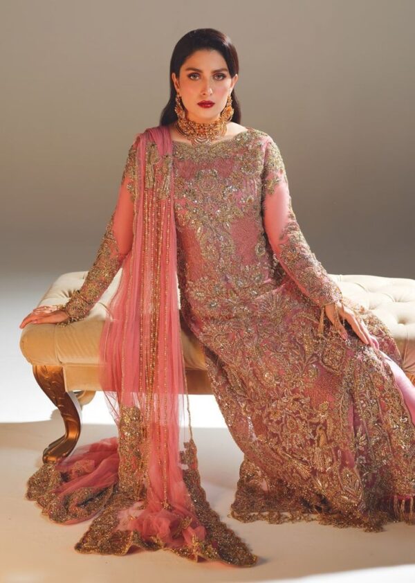 Luxurious Formal Dresses with Exquisite Hand Zari Work😍